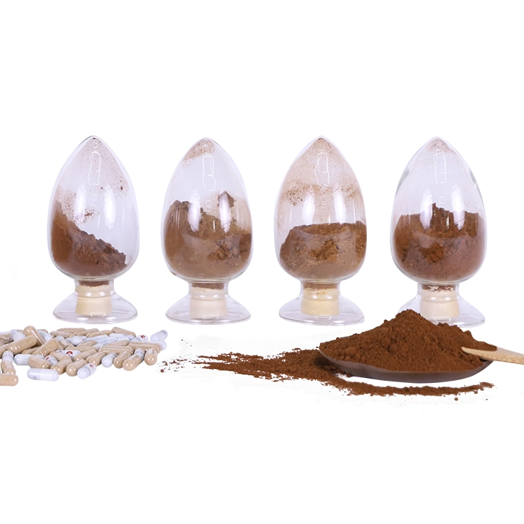  Cordyceps Militaris Mushroom Reishi Mushroom Lion's Mane Mushroom Extract Blends 