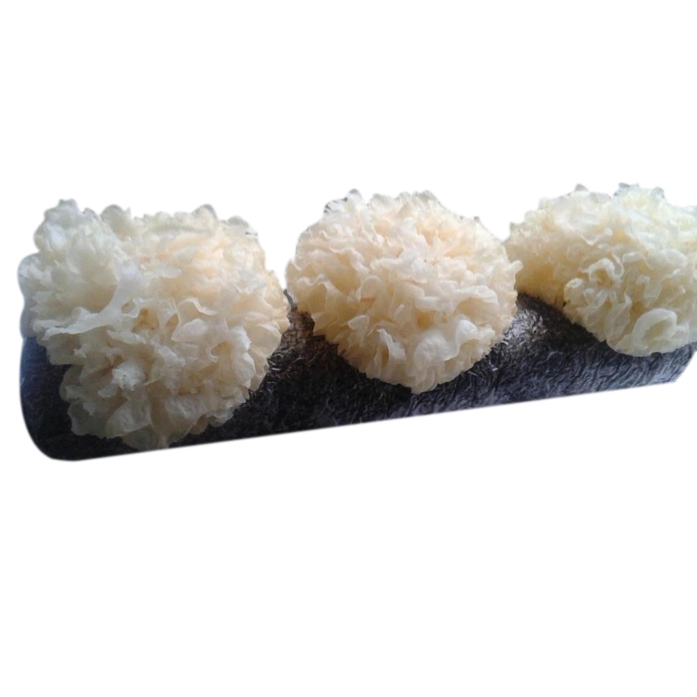 Tremella Mushroom Extract
