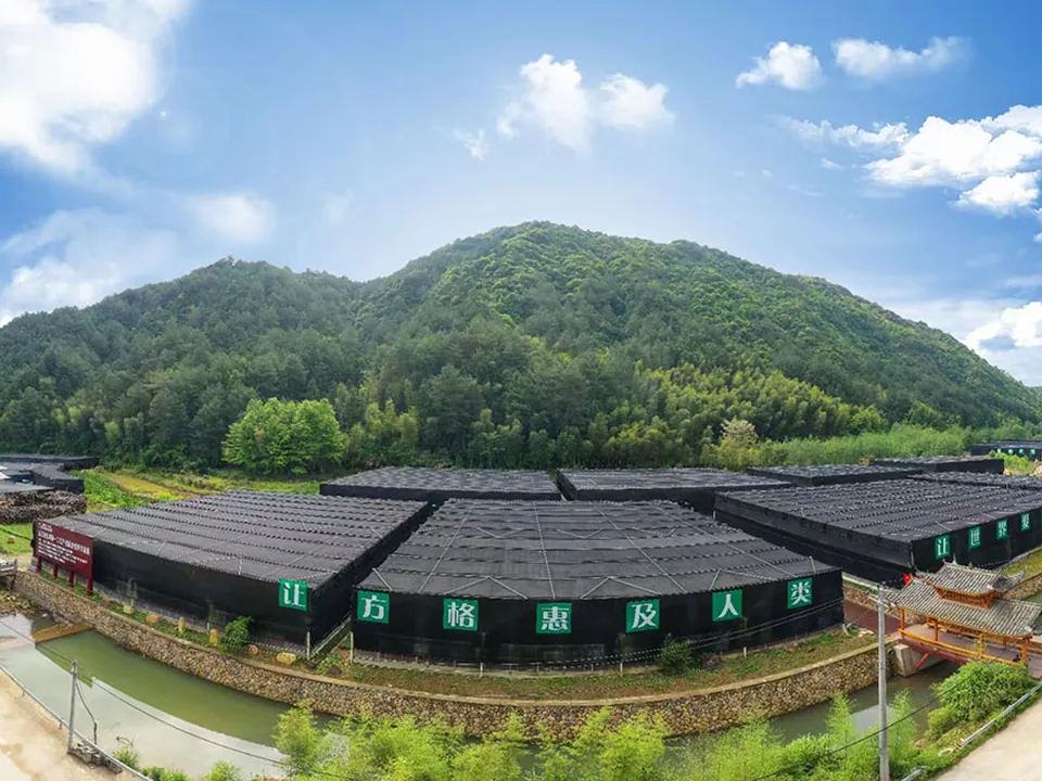 Mushroom cultivation buildings shown on Molai’s website