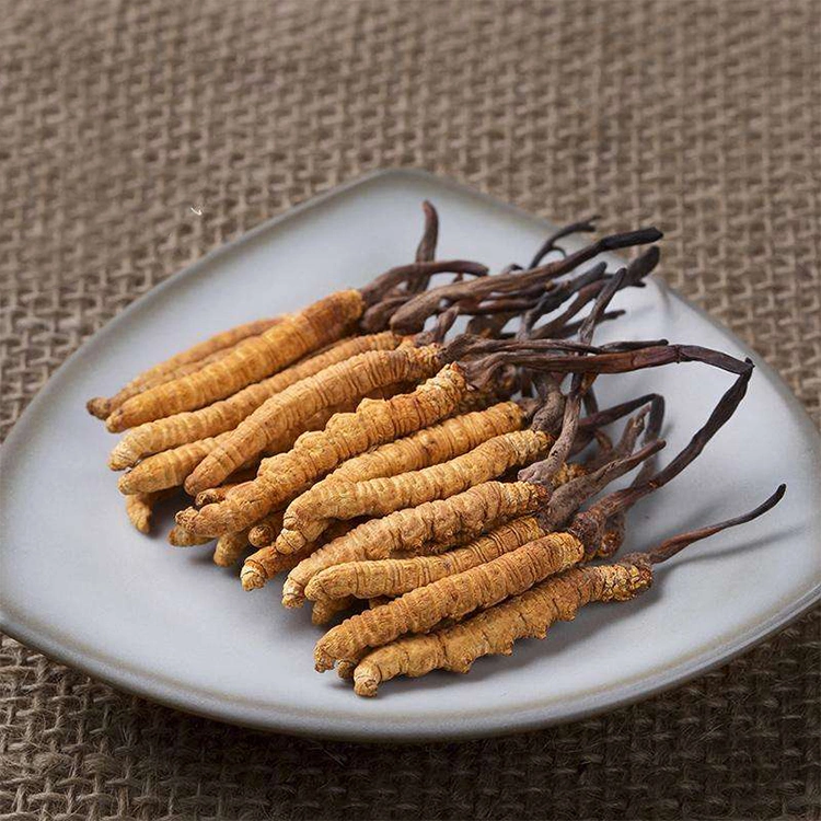Cordyceps Sinensis Mycelium Extract Cs-4