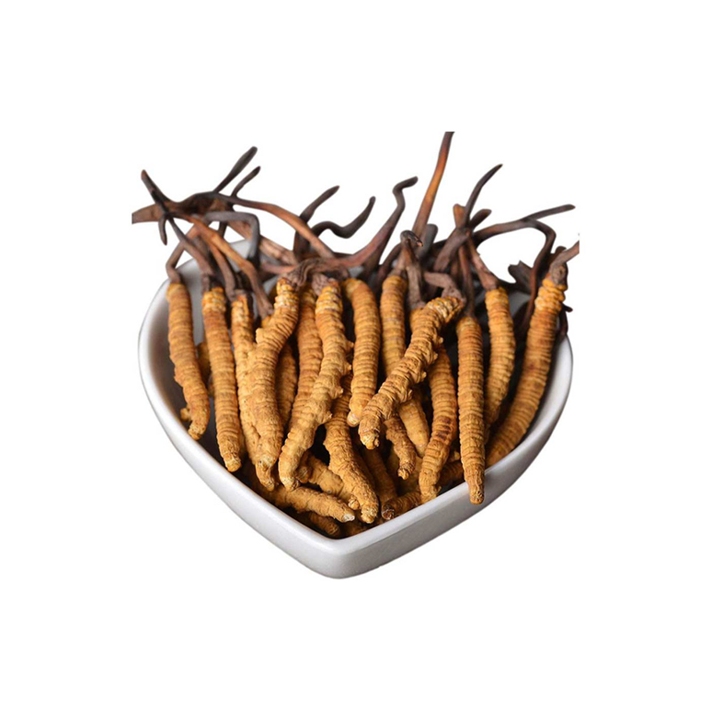 Organic Cordyceps Extract Powder for Vitality and Longevity